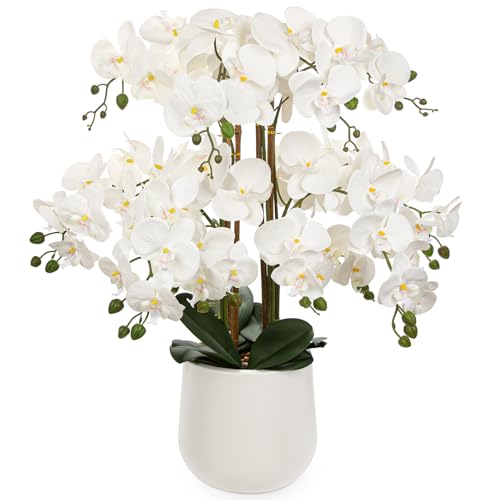 Briful Extra Large White Orchid Artificial Flowers in Cream Resin Pot 295in Lifelike Silk Orchid Arrangement Faux Phalaenopsis Plant for Elegant Home Office Table Centerpiece Dcor - Image 1
