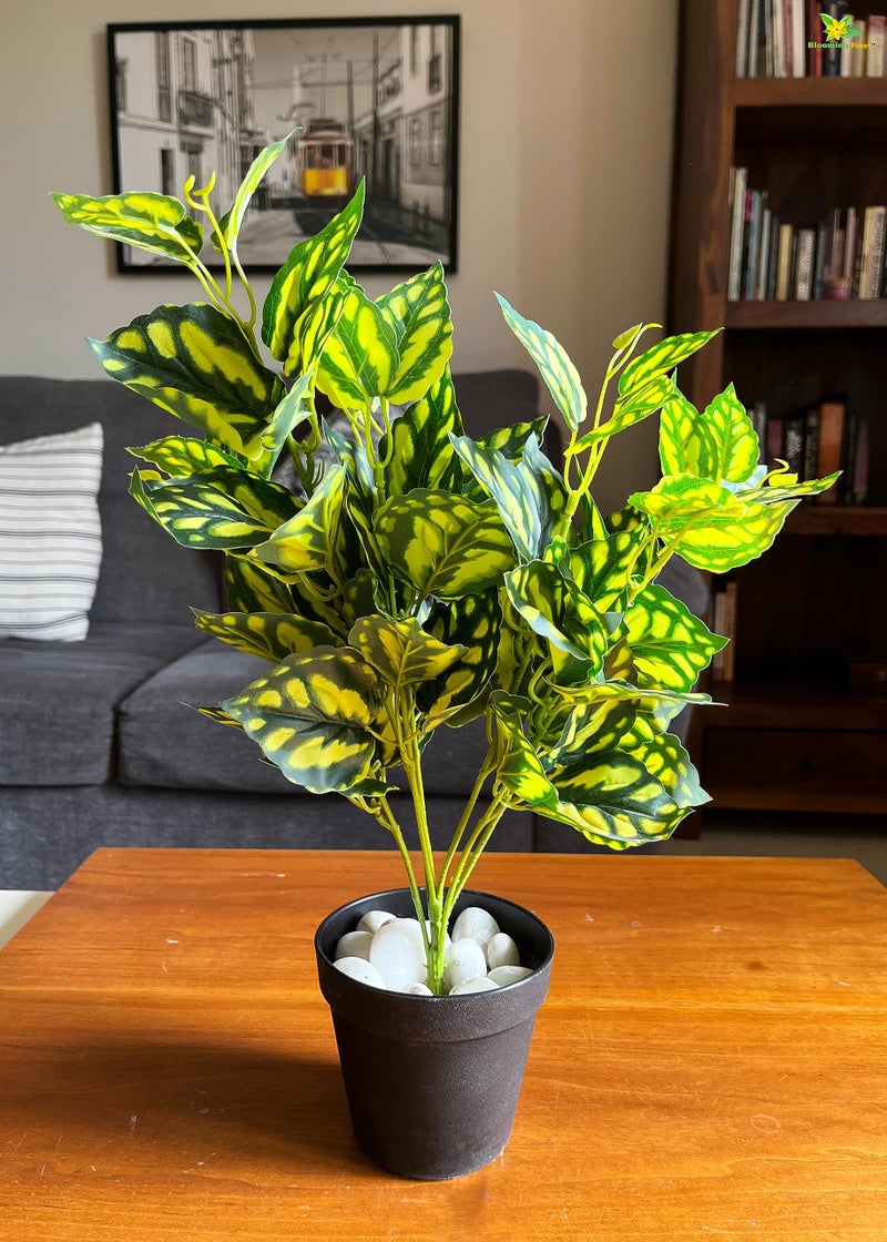 Blooming Floret Artificial Peacock Plant | 48.3 cm Tall Faux Ornamental Plant with 24 Lifelike Leaves | Durable Home & Office Decor in Black Pot - Image 1