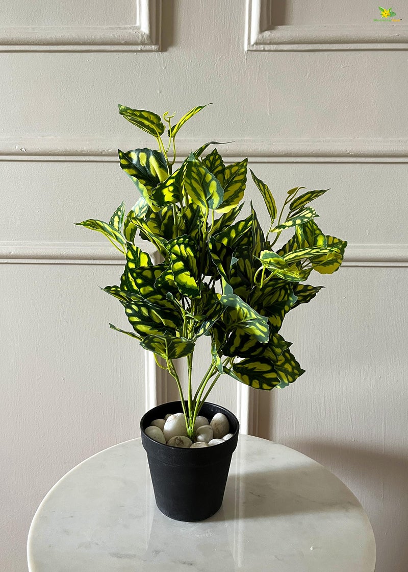Blooming Floret Artificial Peacock Plant | 48.3 cm Tall Faux Ornamental Plant with 24 Lifelike Leaves | Durable Home & Office Decor in Black Pot - Image 5