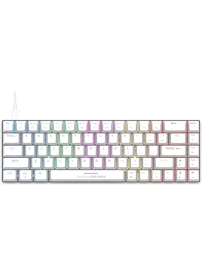 Cosmic Byte - CB-GK-36 Artemis 68Key per key RGB Wired Mechanical Keyboard with Outemu Swappable Blue Switches and Software| Adjustable Backlight | Lighting Effects | Gaming Keyboards - Image 1
