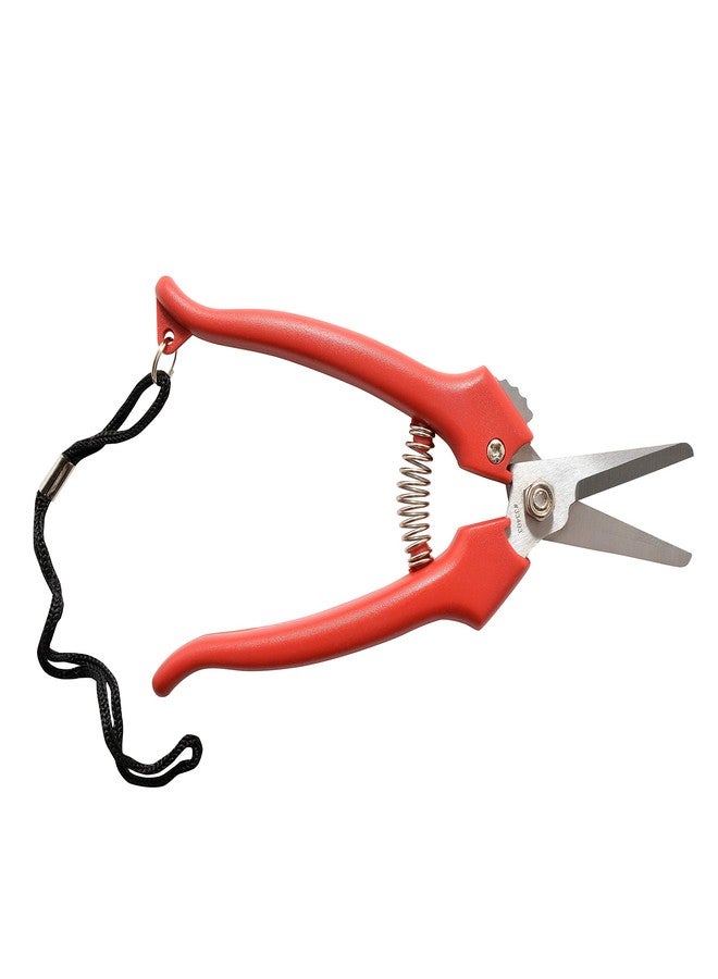 Clauss 33403 6-inch Stainless Steel Floral Lanyard 6" Cutter - Image 2