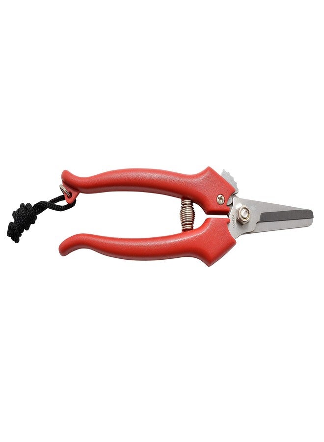 Clauss 33403 6-inch Stainless Steel Floral Lanyard 6" Cutter - Image 3