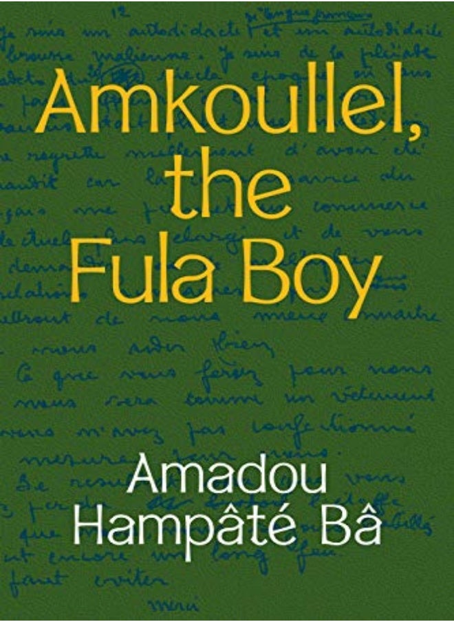 Amkoullel, the Fula Boy 