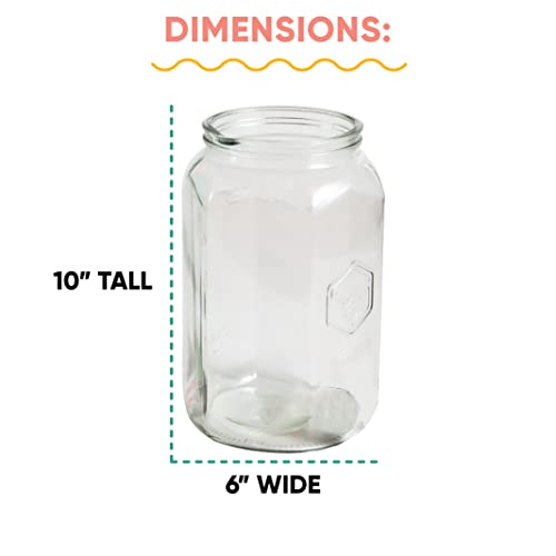 Craft A Brew - Kombucha Jar - For Kombucha Fermenting and Home Brewing - Includes Custom Cloth Cover - One Gallon Glass Jar - Proprietary Design - Image 4