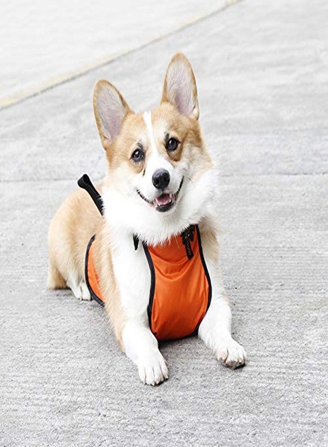 Kelendle Warm Pet Vest Dog Belly Cover Protector Harness Waterproof Costume for Short Leg Female Dogs Small Puppy & Corgi - Image 2
