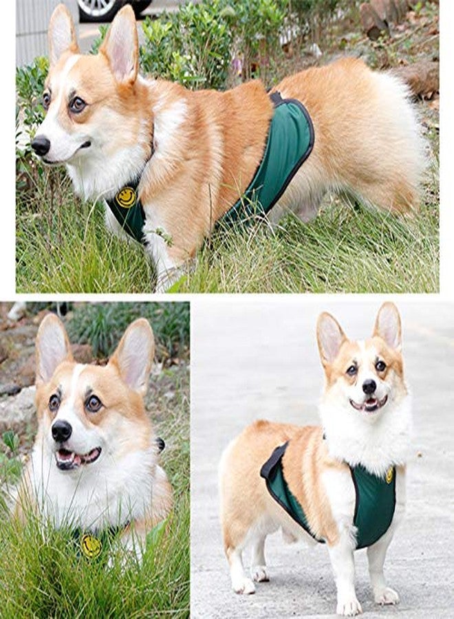 Kelendle Warm Pet Vest Dog Belly Cover Protector Harness Waterproof Costume for Short Leg Female Dogs Small Puppy & Corgi - Image 5