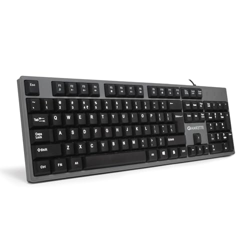 Amkette Lexus Neo Keyboard for Laptops, PCs, and USB-Compatible Devices | UV-Coated, Long-Lasting, Anti-Fade Keys | Spill-Resistant Design | Multimedia Keys | Comfortable Typing (Grey) - Image 1