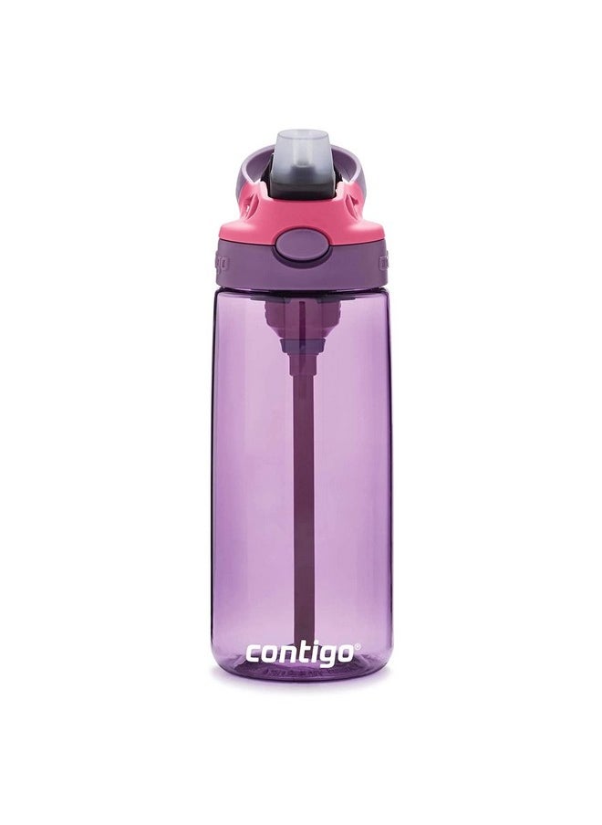 Contigo Aubrey Kids 20oz Cleanable Water Bottle with Silicone Straw, Spill-Proof Lid, Eggplant - Dishwasher Safe and Ideal for Everyday Use - pzsku/ZDE2DE1169A3309122F97Z/45/_/1736571268/9ddb33ee-7f0a-4f11-93d3-b78cb7932cd1