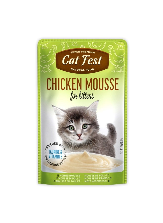 Cat Fest موس دجاج للقطط الصغيرة - 70 جرام - Image 1