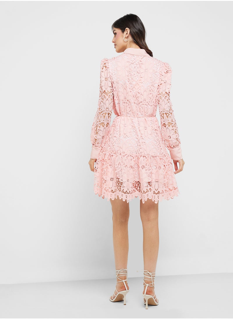 Jovonna London - Collared Neck Lace Detailed Dress - Image 1