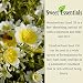Sweet Essentials Premium Organic Meadowfoam Seed Oil, Imported From Canada, 4oz, 100% Pure, Cold Pressed - For Hair, Skin and Nails | Perfect Carrier Oil | Also Excellent For Mature Skin - Image 3