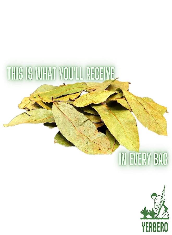 Yerbero - Whole Dried Graviola Soursop Leaves (4 oz - 330+ Leaves Per Bag) Hoja De Guanabana, 100% All Natural Delicious Fresh Tea | From Mexico | Premium Wildcrafted Quality. - Image 2