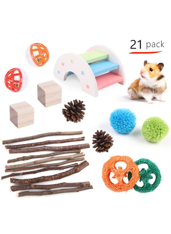 21-Piece Hamster Toy Set - Fun and Safe Chew Toys for Hamsters, Rabbits, and Parrots - Includes Wooden Chew Toys, Suitable for Small Pets - Image 1