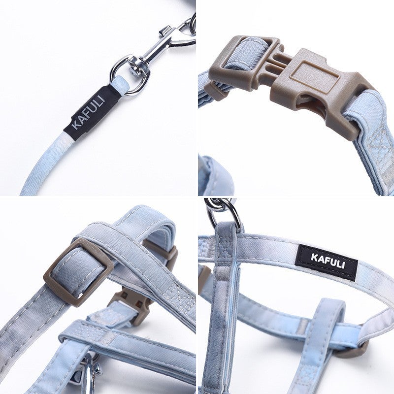 Gradual Change Y-Shape Harness and Leash Set for Small Dogs - Image 4