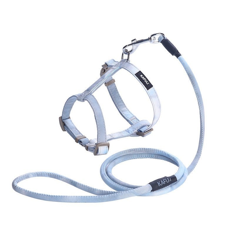 Gradual Change Y-Shape Harness and Leash Set for Small Dogs - Image 5