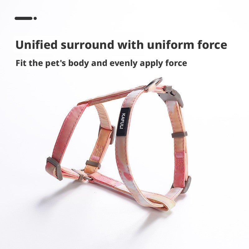 Gradual Change Y-Shape Harness and Leash Set for Small Dogs - Image 3