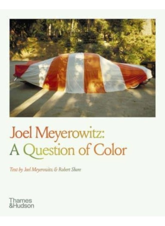 Joel Meyerowitz A Question of Color - Paperback