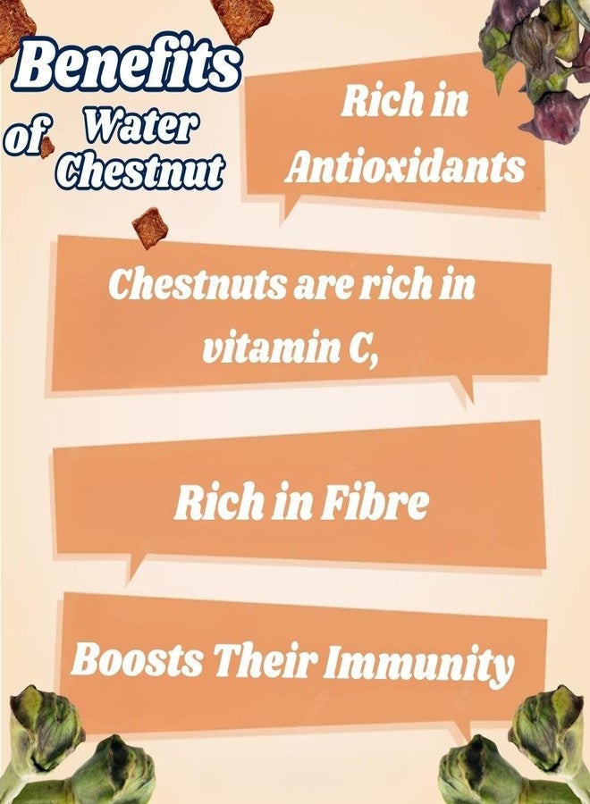 WiggleBoo Chicken & Water Chestnut Hamster Treat | Protein Rich | Fiber Rich | Crunchy Healthy Snacks | 30g - Image 3