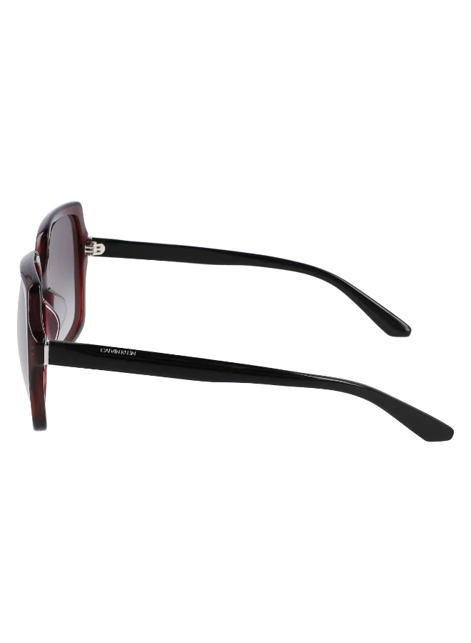 CALVIN KLEIN FULL RIM ACETATE CALVIN KLEIN SUN CK20541SN