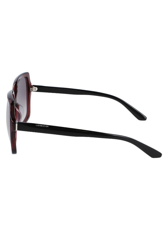 CALVIN KLEIN FULL RIM ACETATE CALVIN KLEIN SUN CK20541SN - Image 2