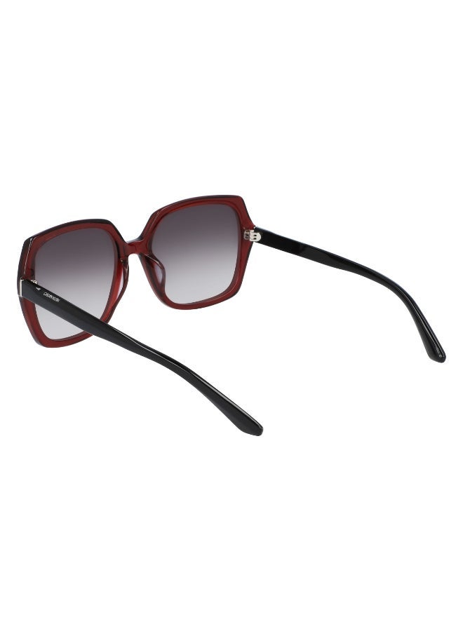 CALVIN KLEIN FULL RIM ACETATE CALVIN KLEIN SUN CK20541SN - Image 3