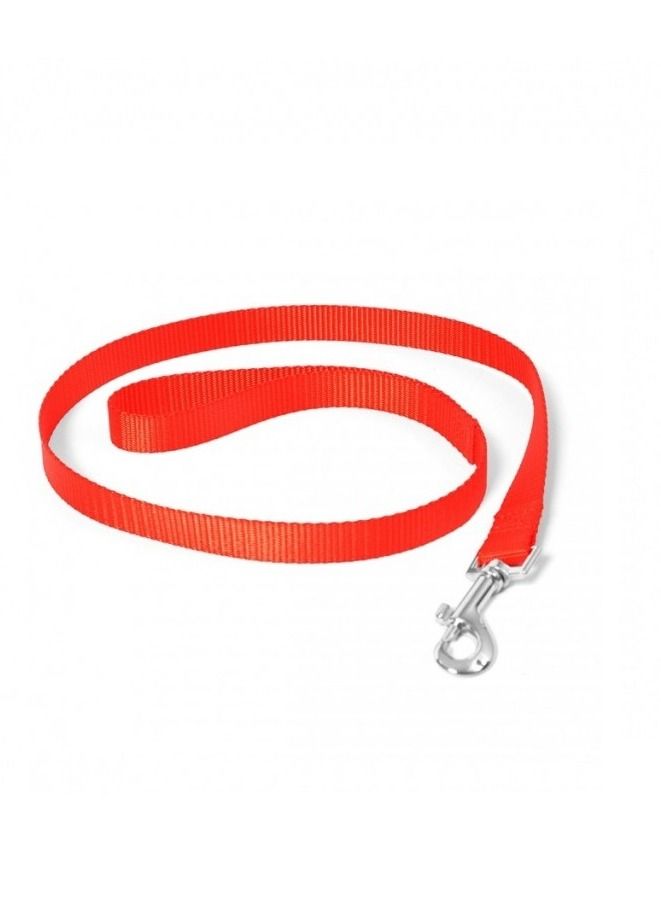 Outdoor Walk Pet Nylon Lead Red