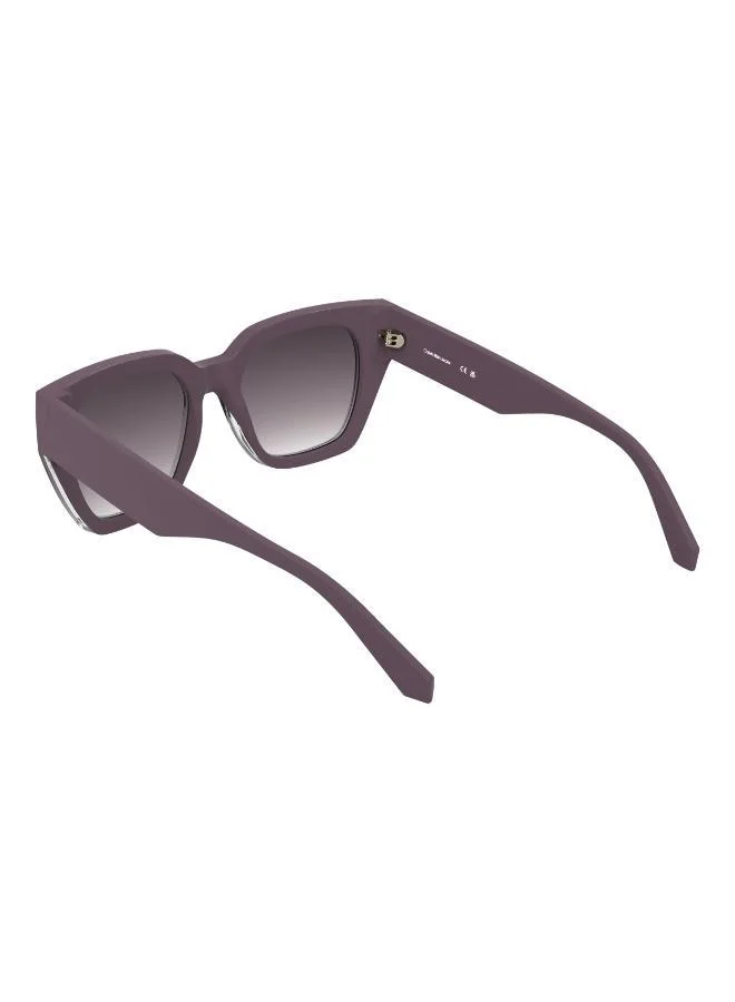 Calvin Klein Jeans  Butterfly Sunglasses for Women | Best Price UAE