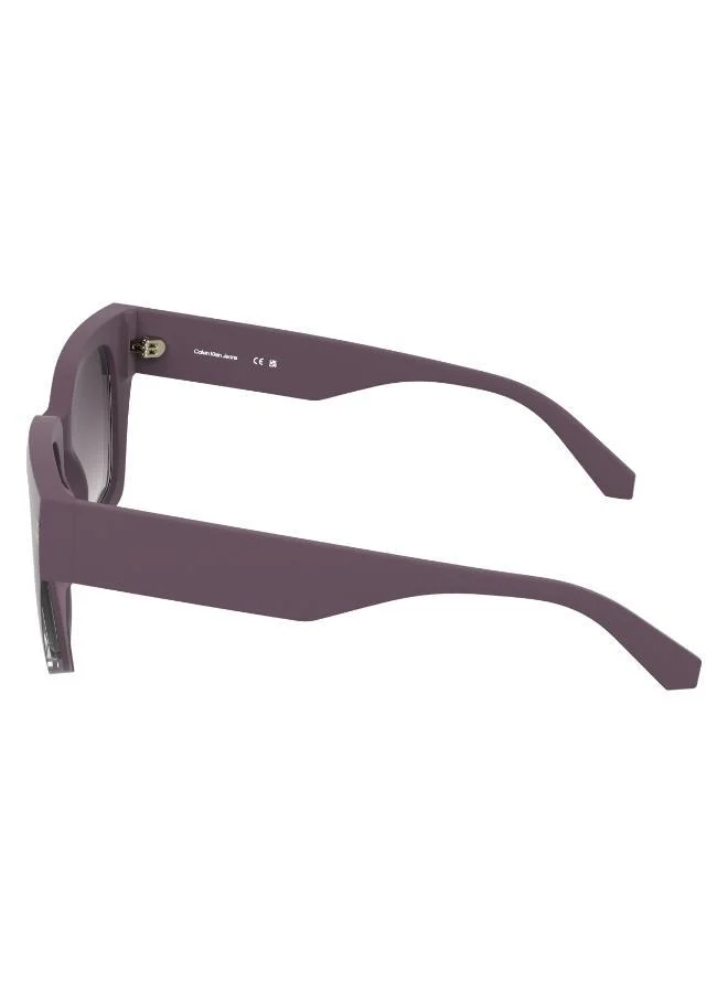 Calvin Klein Jeans  Butterfly Sunglasses for Women | Best Price UAE
