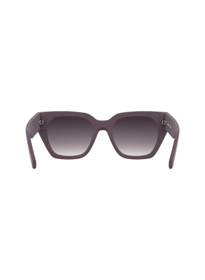 Calvin Klein Jeans Butterfly Sunglasses