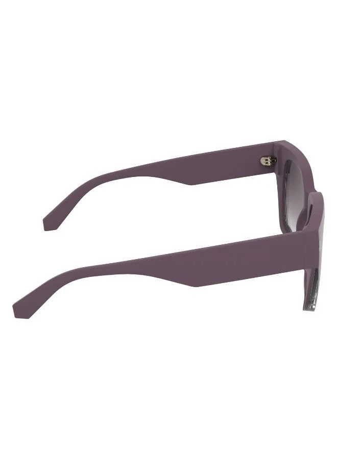 Calvin Klein Jeans  Butterfly Sunglasses for Women | Best Price UAE