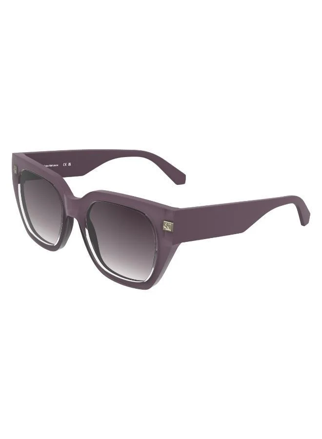 Calvin Klein Jeans  Butterfly Sunglasses for Women | Best Price UAE