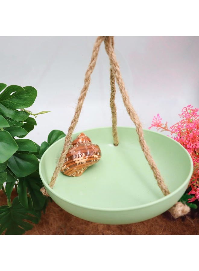 Neeenn Frog Swing Toys, Gecko Swing Toys, Plastic Reptile Amphibian Climbing Toys, Tank Aquarium Terrarium Decoration Accessories, Suitable for Frog Gecko Lizard Chameleon Hermit Crab Hamsters Rats - Image 2