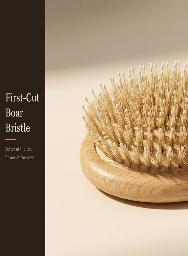 TRENFI Boar and Nylon Bristle Oval Hair Brush Red Oak - Image 4