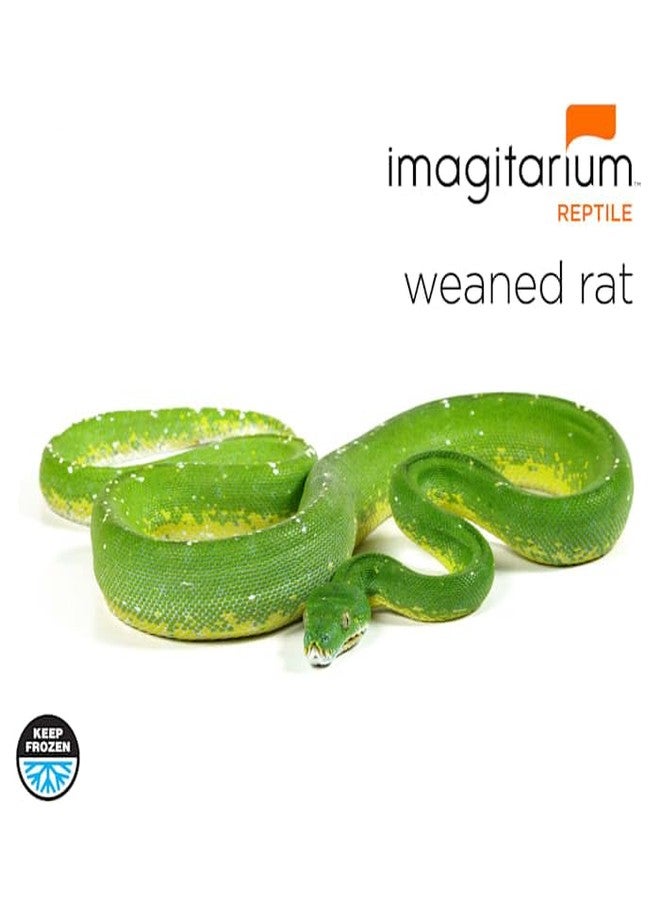 imagitarium Frozen Weaned Rat, Count of 25 - Image 2