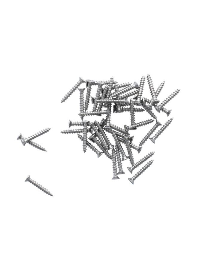 erorex 50-Piece Anti-Rust Threaded Sturdy Stainless Steel Screw Set Silver AW-P-003  - Image 1