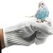 alfyng Bird Training AntiBite Parrot Chewing Protective Gloves Small Animal Handling Gloves for Parrotlets Cockatiels Finch Macaw 1 Pair White - Image 1