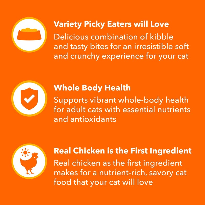 IAMS Healthy Enjoyment Dry Cat Food Chicken & Salmon Recipe, Cat Food Dry Recipe, 15 lb. Bag - Image 3