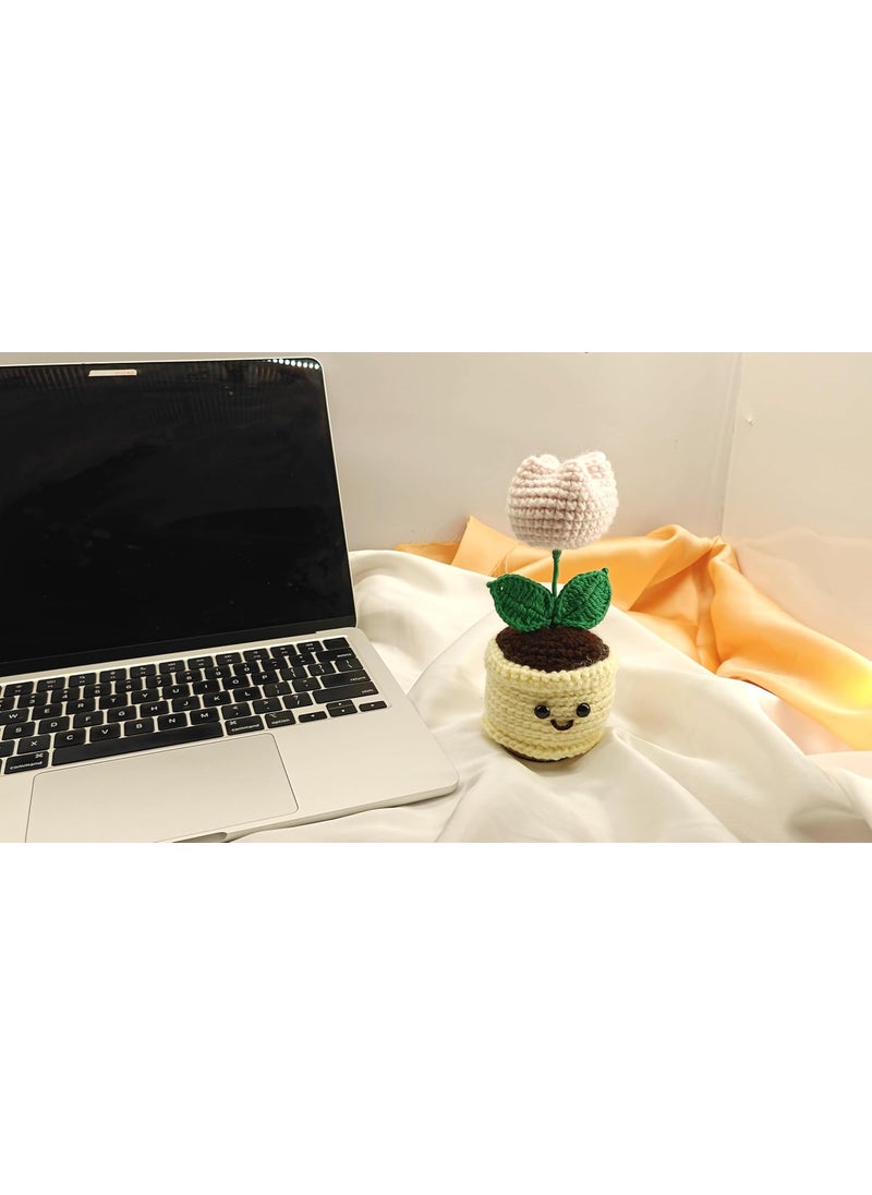 Knotsngifts Light Pink Tulip with White Mini Pot with Smiley Face
