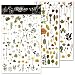 CATaireen Rub on Transfers for Crafts Vintage Scrapbooking Stickers Small Decals Adults Journaling DIY Supplies Use for Fabric Paper Wood Stone Canvas Acrylic Cloth Dried Flower - Image 2