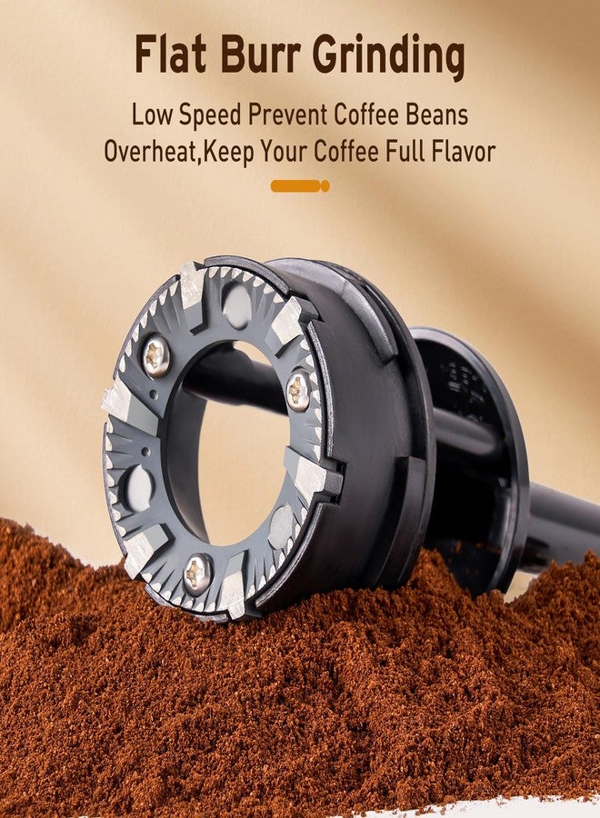 Ollygrin Flat Burr Coffee Grinder Electric, Adjustable Coffee Grinder for Home Use, Compact Coffee Beans Grinder with 14 Grind Settings, 2-12 Cups for Home & Office - Image 5