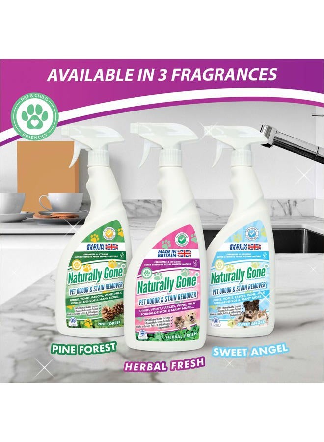 airpure NATURALLY GONE Pet Odour Eliminator by Airpure, Heat Sealed Cap, Enzyme Cleaner Removes Smells and Stains, Cat Litter Freshener, Works on Urine, Vomit, Faeces and More - HERBAL FRESH Fragrance - Image 5