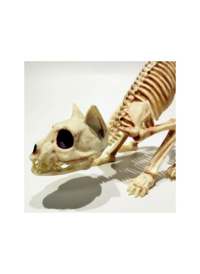 Generic - Halloween Bones Ornament Cat Skeleton Crouching Cat Skeleton Halloween Decoration Scary Model Creepy Animal Skull Decoration - Image 1