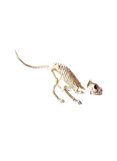 Halloween Bones Ornament Cat Skeleton Crouching Cat Skeleton Halloween Decoration Scary Model Creepy Animal Skull Decoration