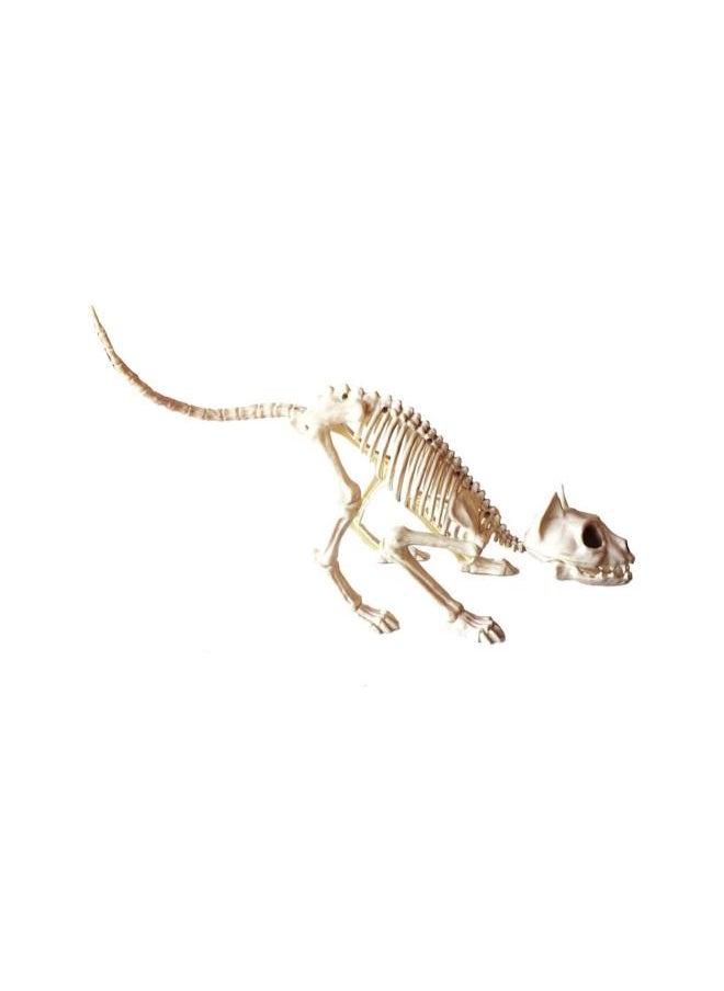 Generic - Halloween Bones Ornament Cat Skeleton Crouching Cat Skeleton Halloween Decoration Scary Model Creepy Animal Skull Decoration - Image 1