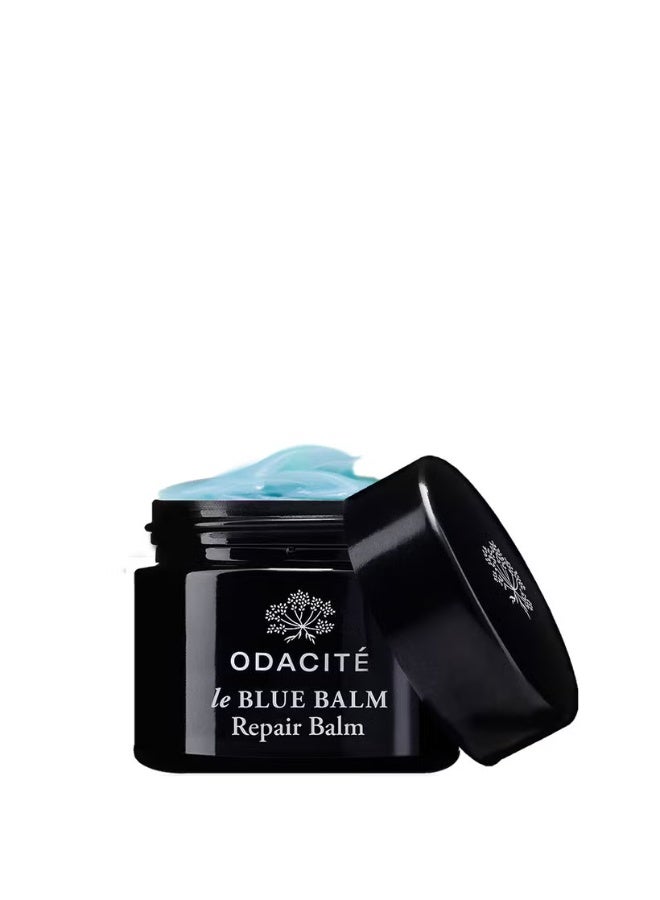 Odacite Odacité Le Blue Balm Chamomile and Shea Butter Repair Balm 50ml - Image 4