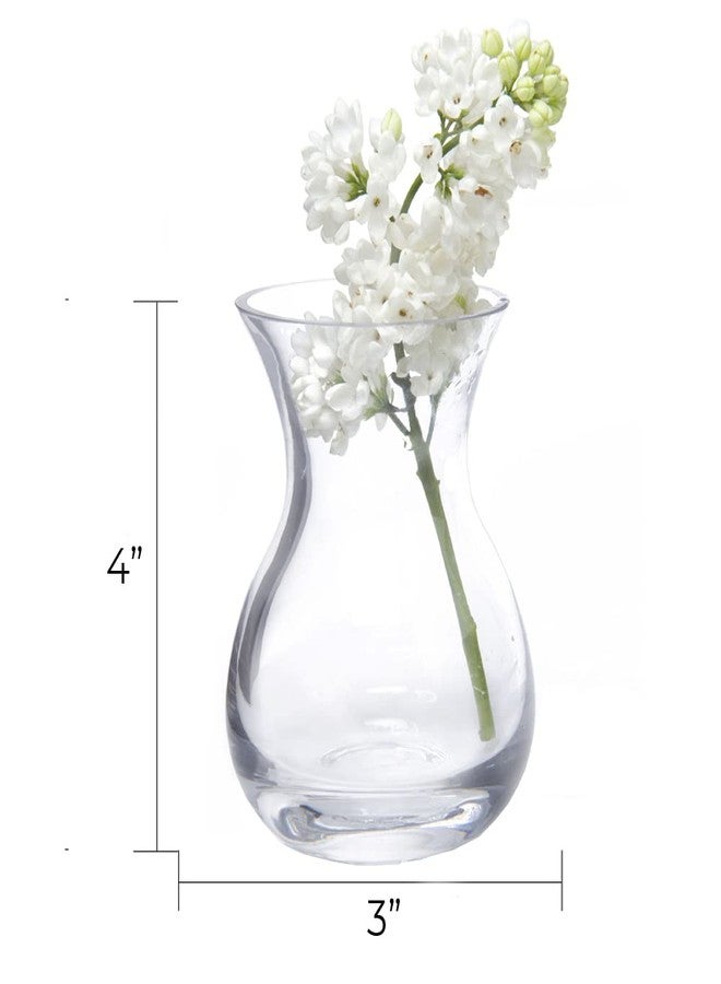 CHIVE ‘George’ Glass Bottle Flower Vases - Set of 6 - Small, Elegant Clear Glass Bud Vases - Bulk Pack for Home Decor & Table Centerpieces - Shape 4 (Oval, 4” Tall, 3” Wide) - Image 3