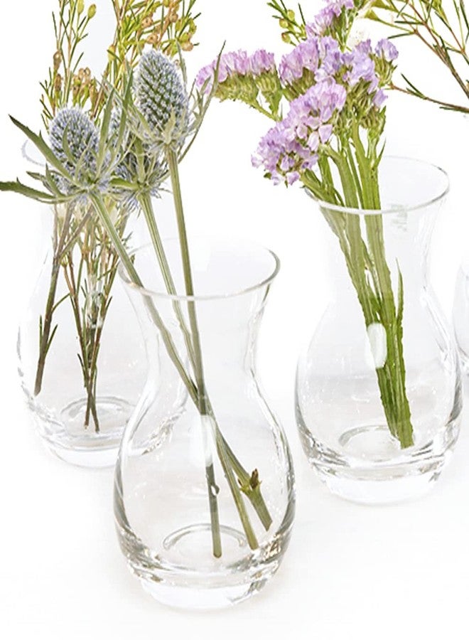 CHIVE ‘George’ Glass Bottle Flower Vases - Set of 6 - Small, Elegant Clear Glass Bud Vases - Bulk Pack for Home Decor & Table Centerpieces - Shape 4 (Oval, 4” Tall, 3” Wide) - Image 2