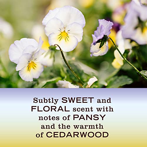 MRS. MEYER'S CLEAN DAY All-Purpose Cleaner Spray, Compassion Flower, 16 fl. oz (Pack of 3) - Image 4