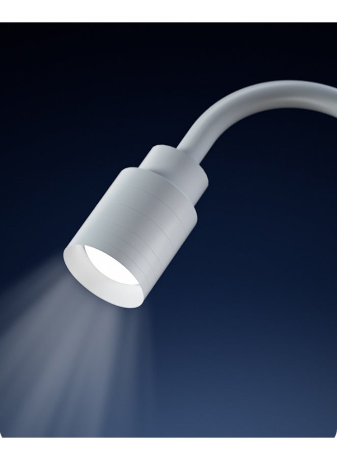 CityRiya-Long Fish Tank, Aquarium Starter Kits with Water Filter Pump, LED Light and Planter, Ecological Betta Fish Tank, Aquarium Kit Glass Fish Tanks, Large Aquariums Container for Home Office Decor (M) - Image 5