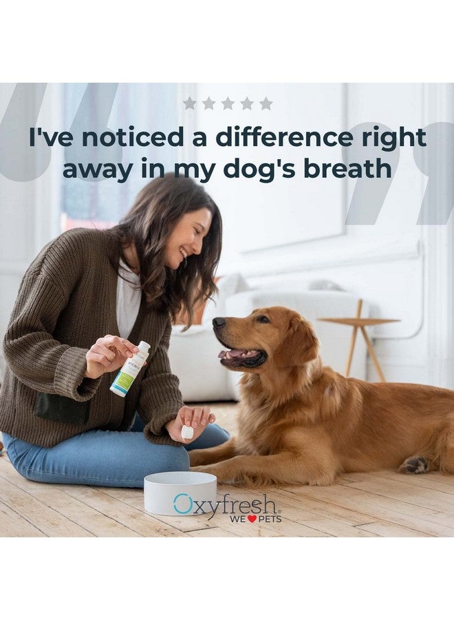 Oxyfresh Premium Pet Dental Kit For Dogs & Cats  Easy Solution For Pet Fresh Breath, Clean Teeth, Control Plaque & Tartar  Vet Formulated Pet Toothpaste, 1Oz + Water Additive, 3Oz + 3 Lg Brushes Kit - Image 3